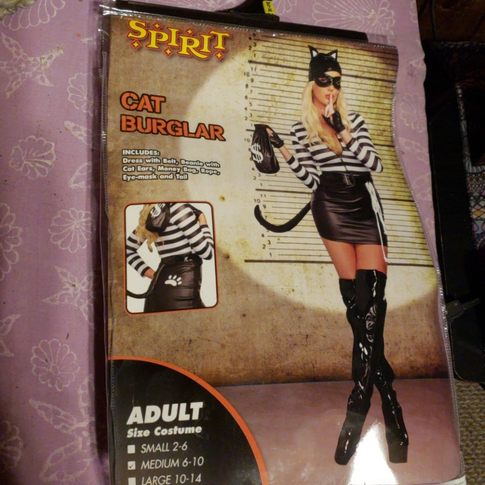 Cat burglar Halloween Costume